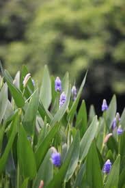 images_050